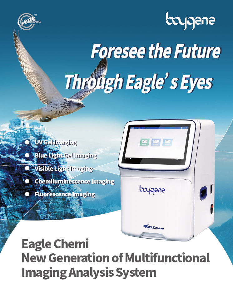 [New Product Launch] Eagle Chemi, New Generation of Multifunctional Imaging Analysis System